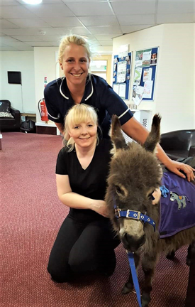 Teddy the miniature donkey paid a visit to a Hartlepool care home during their Strawberry Garden Party.